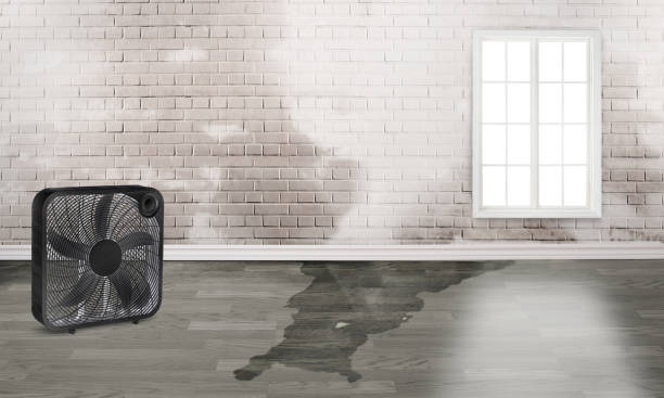 Best Water damage restoration near me  in Yorktown Heights, NY